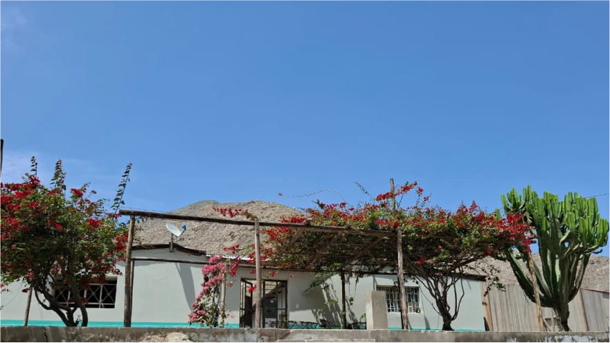 Frutos cosechados frescos
